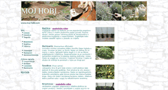 Desktop Screenshot of moj-hobi.com