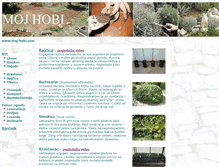 Tablet Screenshot of moj-hobi.com